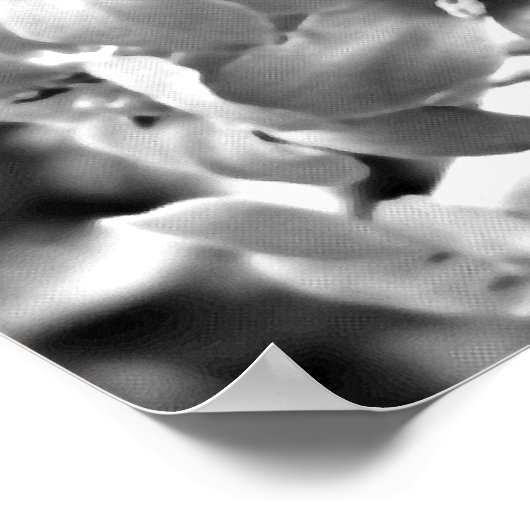 Ierland Flowers Poster (Hoek)