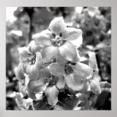 Ierland Flowers Poster (Voorkant)