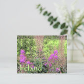 Ierland Heather Briefkaart (Staand voorkant)