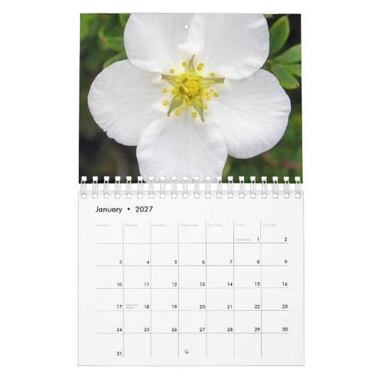 Ierland in Bloom Calendar Kalender (Jan 2027)