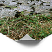 Ierland, Inishmore, Aran Island, Dun Aengus Fort Poster (Hoek)