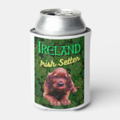 Ierland Irish Setter Clovers Shamrocks Blikjeskoeler (Blikje Voorkant)