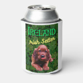 Ierland Irish Setter Clovers Shamrocks Blikjeskoeler (Blikje Achterkant)