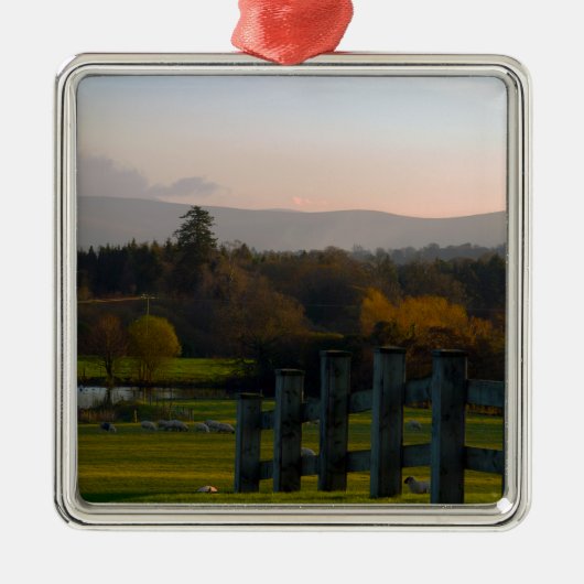 Ierland is prachtig metalen ornament (Voorkant)