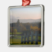 Ierland is prachtig metalen ornament (Links)