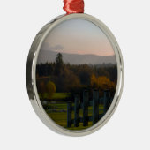 Ierland is prachtig metalen ornament (Rechts)