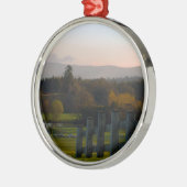 Ierland is prachtig metalen ornament (Links)