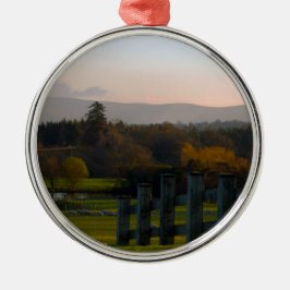 Ierland is prachtig metalen ornament