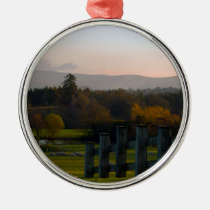 Ierland is prachtig metalen ornament