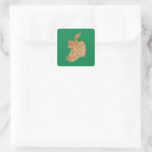 Ierland Kaart Sticker (Tas)