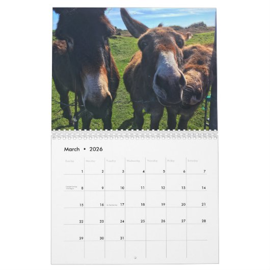 Ierland kalender 2021 (Mar 2026)