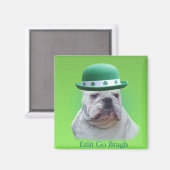 Ierland Magneet (Voorkant / Achterkant)