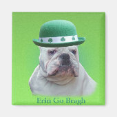 Ierland Magneet (Voorkant)