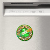 ierland magneet (Insitu (Vaatwasser))