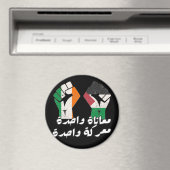 Ierland Palestina Solidariteit Magneet (Insitu (Vaatwasser))
