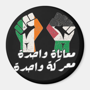 Ierland Palestina Solidariteit Magneet