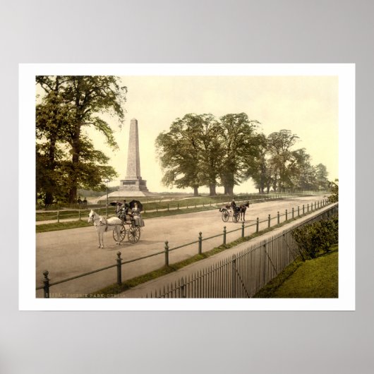  Ierland, Phoenix Park Dublin Poster (Voorkant)