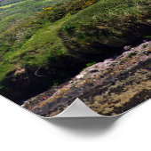 Ierland Poster (Hoek)