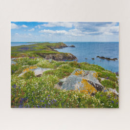 Ierland, Saltee Islands, Legpuzzel