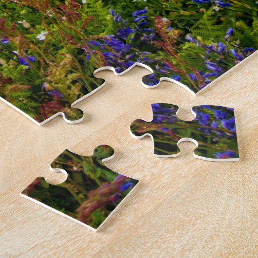 Ierland, Saltee Islands, Legpuzzel (Zijkant)