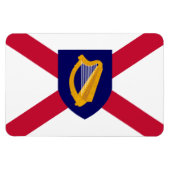 Ierland Vlag Magnet - Cross & Harp Shield Magneet (Horizontaal)