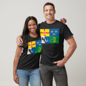Ierland (Vlag van vier provincies) T-shirt (Unisex)