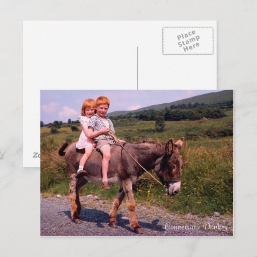 Iers Afbeelding briefkaart (Voorkant / Achterkant)