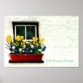 Iers Afbeelding Poster (Voorkant)