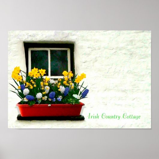 Iers Afbeelding Poster (Voorkant)