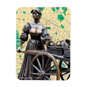 Iers afbeelding voor Photo Magnet Magneet