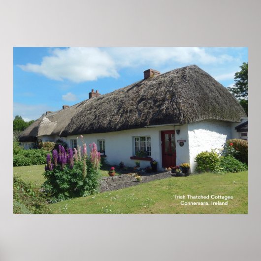 Iers afbeelding voor Poster (Voorkant)