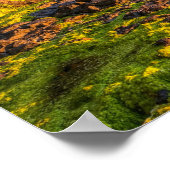 Iers afbeelding voor poster (Hoek)