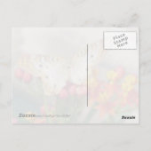 Iers Briefkaart voor zinking (White Peacock) (Achterkant)