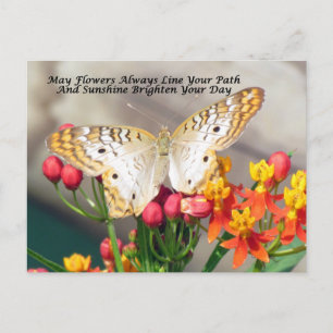 Iers Briefkaart voor zinking (White Peacock)