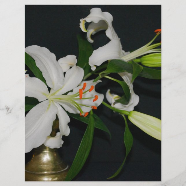 Iers Collectie voor ontwerp-messing en ventilator (Voorkant)