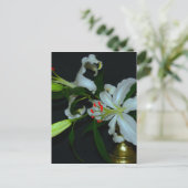 Iers Collectie voor ontwerp-messing en ventilator Briefkaart (Staand voorkant)