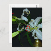 Iers Collectie voor ontwerp-messing en ventilator Briefkaart (Voorkant / Achterkant)