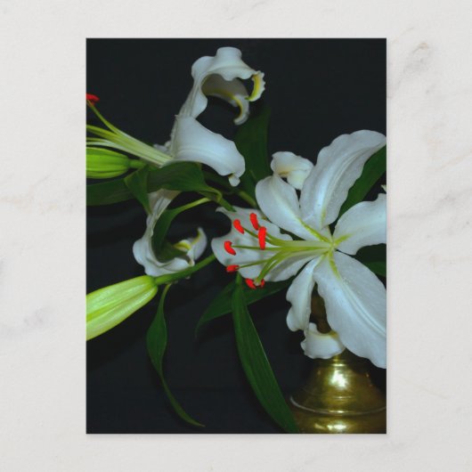 Iers Collectie voor ontwerp-messing en ventilator Briefkaart (Voorkant)