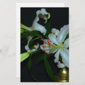 Iers Collectie voor ontwerp-messing en ventilator Briefpapier (Voorkant / Achterkant)