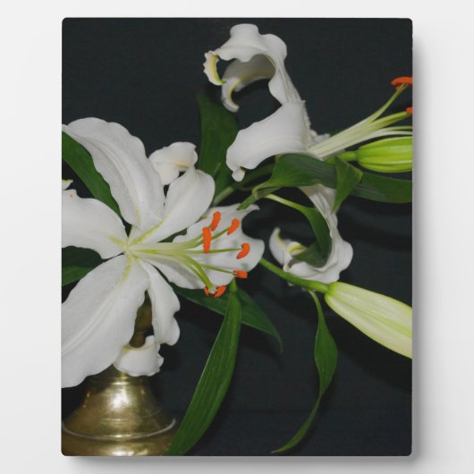 Iers Collectie voor ontwerp-messing en ventilator Fotoplaat (Voorkant)