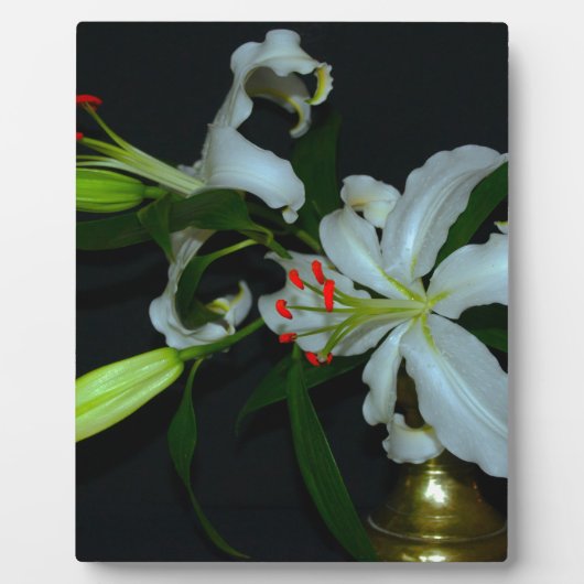 Iers Collectie voor ontwerp-messing en ventilator Fotoplaat (Voorkant)