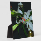 Iers Collectie voor ontwerp-messing en ventilator Fotoplaat (Zijkant)