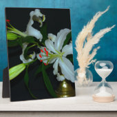 Iers Collectie voor ontwerp-messing en ventilator Fotoplaat (Zijkant)