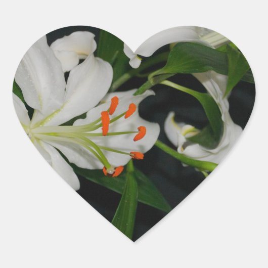 Iers Collectie voor ontwerp-messing en ventilator Hart Sticker (Voorkant)