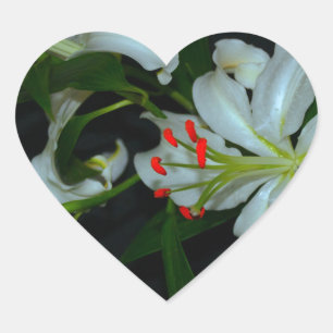 Iers Collectie voor ontwerp-messing en ventilator Hart Sticker