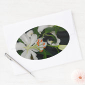 Iers Collectie voor ontwerp-messing en ventilator Ovale Sticker (Envelop)