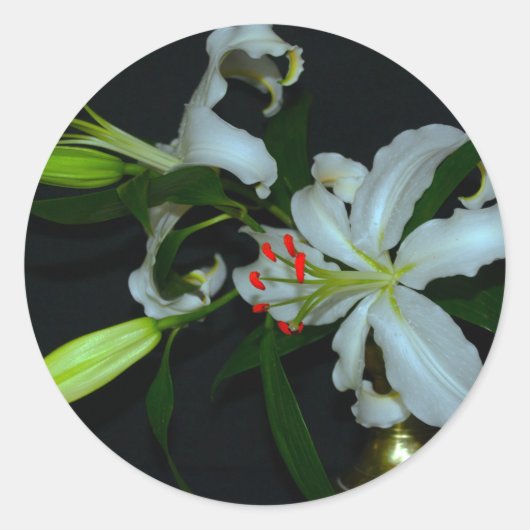 Iers Collectie voor ontwerp-messing en ventilator Ronde Sticker (Voorkant)