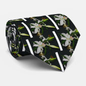 Iers Collectie voor ontwerp-messing en ventilator Stropdas (Opgerold)