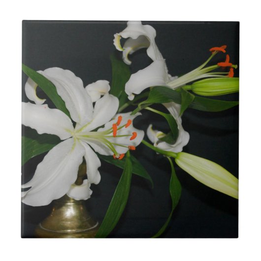 Iers Collectie voor ontwerp-messing en ventilator Tegeltje (Voorkant)