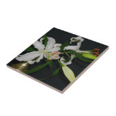 Iers Collectie voor ontwerp-messing en ventilator Tegeltje (Zijkant)